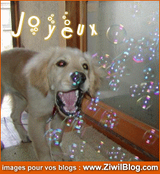 anniversaire