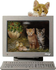 chats